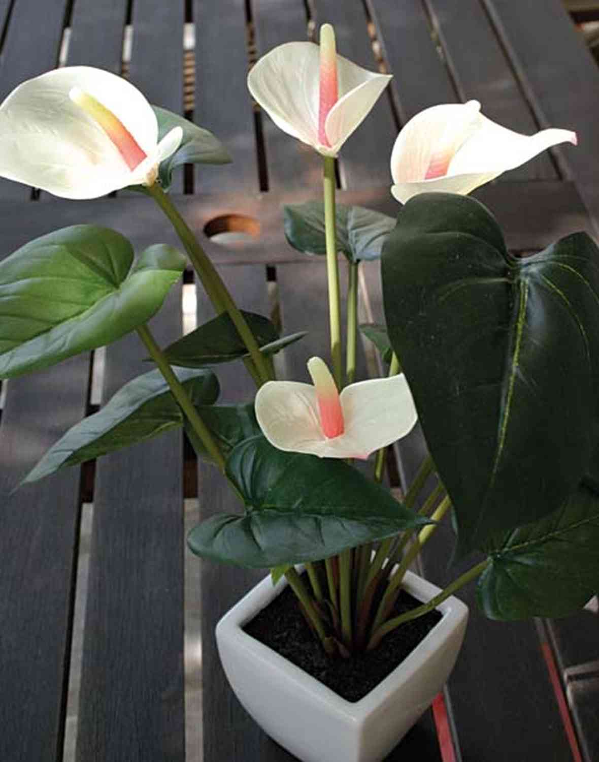 Plante Fleur Artificielle Anthurium Avec Pot Blanc 115 Cm Décoration  Intérieur Dec02 à Prix Carrefour