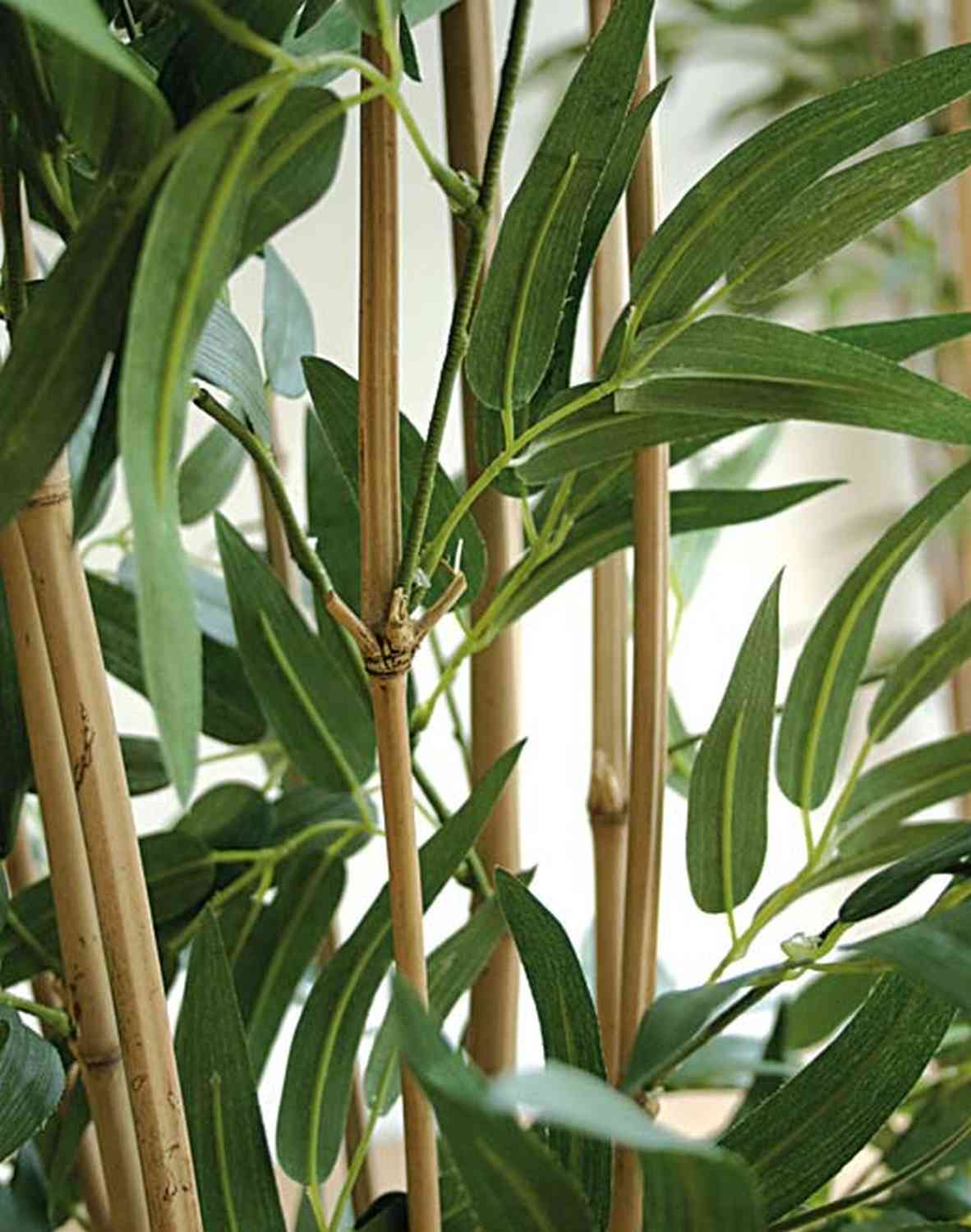 Acheter des Bambou artificiel ANAME, tiges de bambou naturelles, 190cm