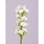 Phlox artificiel ALSA, blanc, 35cm, Ø5cm