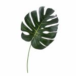 Fausse feuille de philo Monstera Deliciosa UMBERTO, vert, 55cm