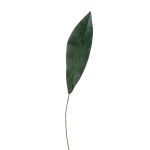 Feuille d'Aspidistra synthétique PAISA, 75cm