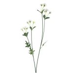 Branche décorative Pâquerette KASANI, crème, 60cm