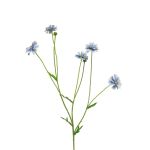 Branche décorative de Centaurea TAOTAO, bleu, 65cm