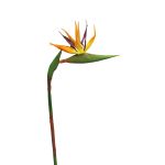 Fleur décorative Strelitzia WEIYU, orange-violet, 60cm