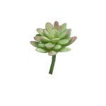 Sedum rubrotinctum artificiel AOLUO sur piquet, vert-rouge, 16cm