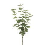 Branche artificielle d'eucalyptus MINJIA, vert-gris, 65cm