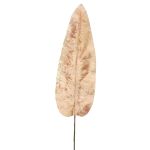 Feuille de bananier velours AOXUE, rose, 70cm