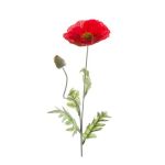 Faux Coquelicot LISSIE, rouge, 70cm, Ø12cm