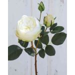 Rose-Chou artificielle MIRETTA, crème-blanc, 60cm, Ø3-9cm