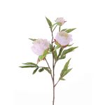 Tige de pivoine en soie MANJA, blanc, 70cm, Ø8-10cm