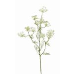 Branche d'aneth artificielle WINCENT, blanc-vert, 80cm