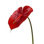 Anthurium artificiel MOIRA, rouge, 75cm, 13x20cm