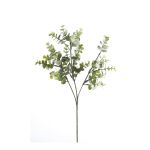 Branche d'eucalyptus artificiel GIV, vert-gris, 65cm