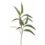 Branche d'eucalyptus artificielle SEMA, vert, 70cm