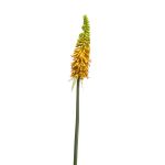 Kniphofia artificiel MUNDAKA, jaune, 85cm