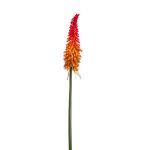 Kniphofia artificiel MUNDAKA, rouge-orange, 85cm