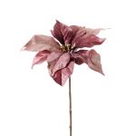 Poinsettia velouté SHEBA, vieux rose, 55cm, Ø23cm