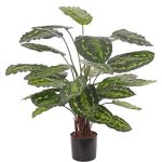 Calathea médaillon artificiel KUMARA, vert, 75cm