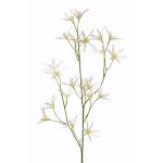 Fleur artificielle Tweedia solanoides PALLAS, blanc, 75cm, Ø5cm