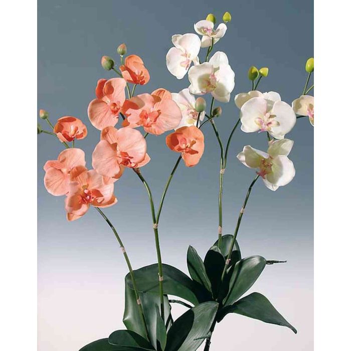 ORCHIDEE artificielle phalaenopsis sur motte 35 cm