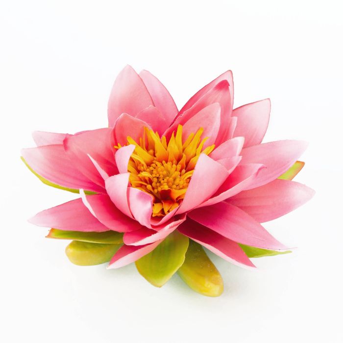 Fausse Fleur De Lotus