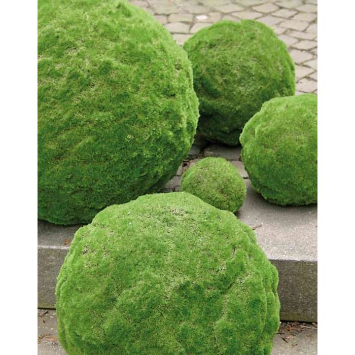 Acheter des Fausse boule de mousse THEOS, vert, Ø13cm