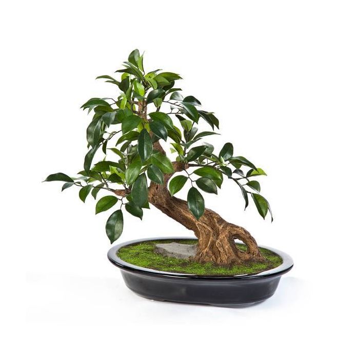 Bonzai Ficus Artificiel