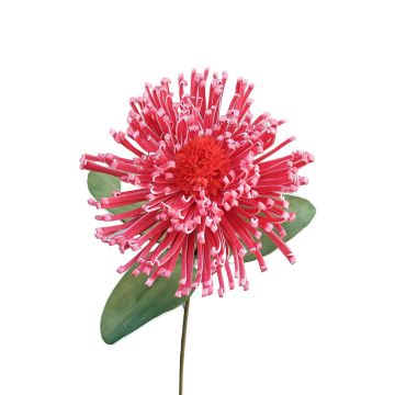 Leucospermum Protea en mousse synthétique ISLARTINA, rouge-fuchsia, 75cm