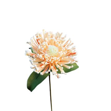 Leucospermum Protea en mousse synthétique ISLARTINA, crème-abricot, 75cm