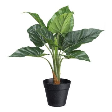 Plante artificielle Anthurium PLOVI, pot décoratif, vert, 45cm