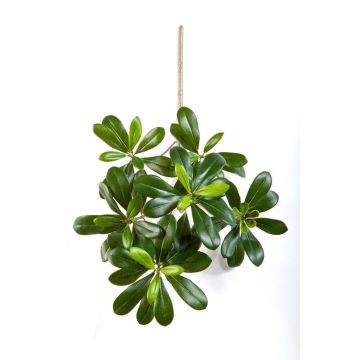 Branche de pittosporum artificielle MASON, diff. inflammable, 40cm