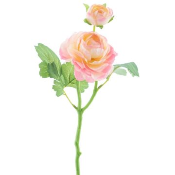 Renoncule décorative LIOFA, rose-crème, 35cm