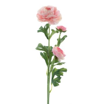 Fleur artificielle Renoncule PROTO, rose clair, 65cm