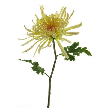 Fleur décorative Chrysanthème YASULI, crème-jaune, 70cm