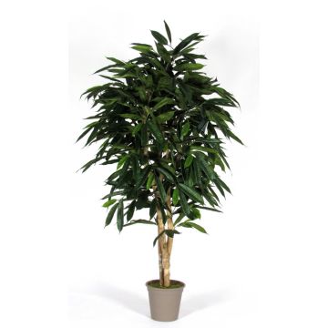 Longifolia artificiel MARIANKA, troncs naturels, vert, 175cm - Made in Italy