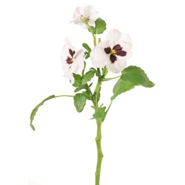 Branche décorative Pensée SIANIE, blanc, 35cm, Ø4-6cm