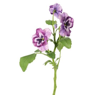 Branche décorative Pensée SIANIE, violet-blanc, 35cm, Ø4-6cm