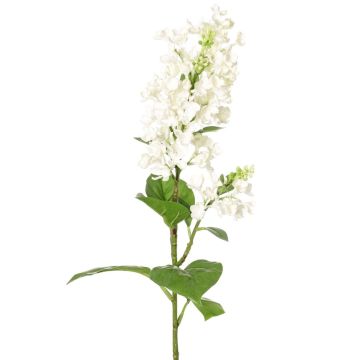 Branche décorative Lilas ADMIR, blanc, 80cm