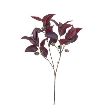 Branche d'eucalyptus décorative VIZIMIR avec des fruits, rouge bourgogne, 80cm