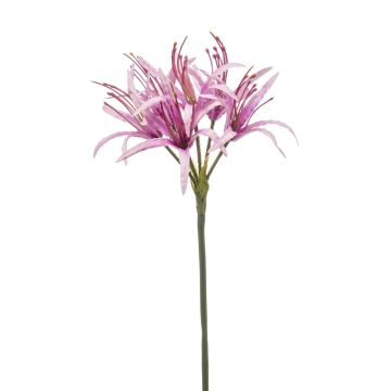 Lis d'araignée artificiel LUCHO, lilas, 70cm