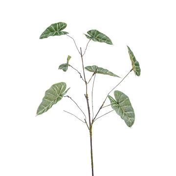 Branche décorative Anthurium GLANT, vert-gris, 65cm