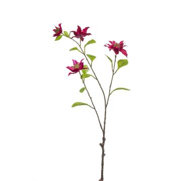 Branche décorative Clématite RUHNA, fuchsia, 75cm