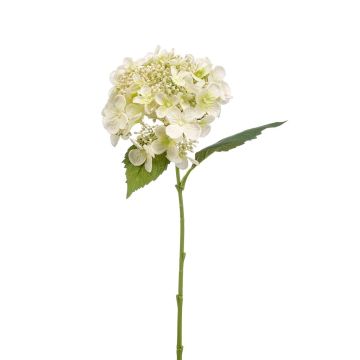 Fleur artificielle Hortensia CALESA, blanc, 50cm