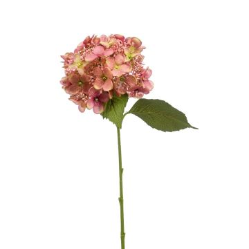 Fleur artificielle Hortensia CALESA, vieux rose, 50cm