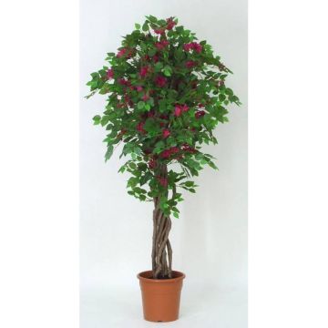 Bougainvillée artificielle INGTRAUD, troncs en bois véritable, fleurs, rose fuchsia, 200cm - Made in Italy