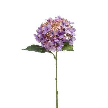 Fleur artificielle Hortensia CALESA, lilas, 50cm