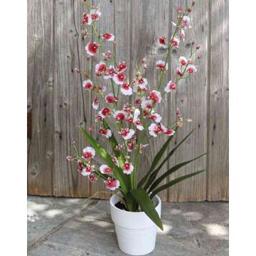 Orchidée Oncidium artificielle YOSEPHIN en pot en argile, blanc-rouge, 70cm