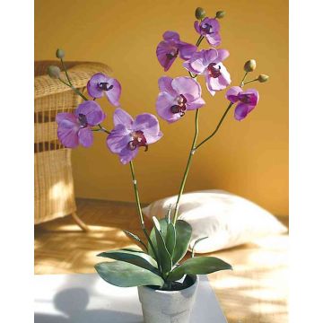 Orchidée Phalaenopsis synthétique RHIJANA, pot en argile, violet clair, 60cm