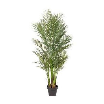 Palmier décoratif Areca URUBE en pot décoratif, 160cm