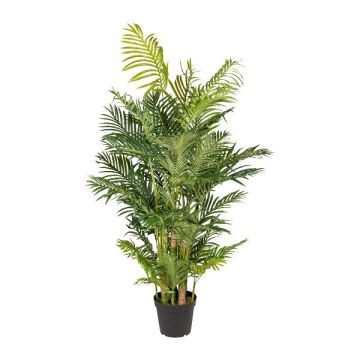 Palmier décoratif Areca HAZMI, 170cm